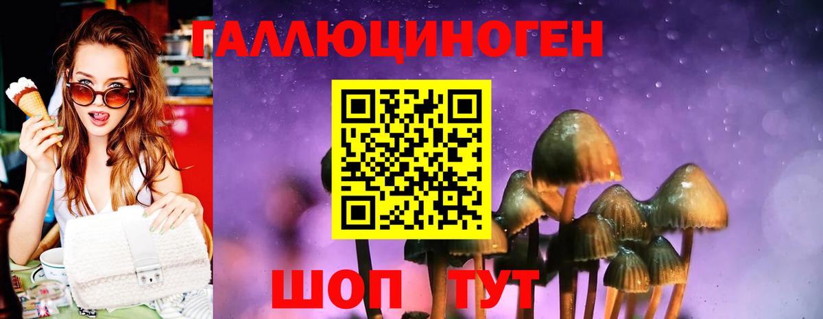 Галлюциногенные грибы GOLDEN TEACHER Биробиджан